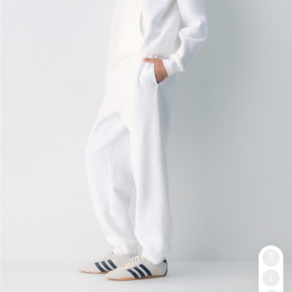 Aritzia TNA Cozy Sweatfleece Mega Joggers